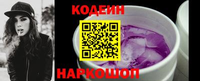 индика Гусев