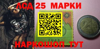 индика Гусев