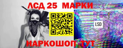 индика Гусев