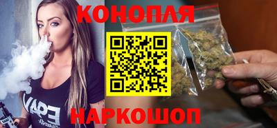 индика Гусев