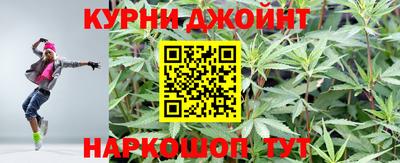 индика Гусев