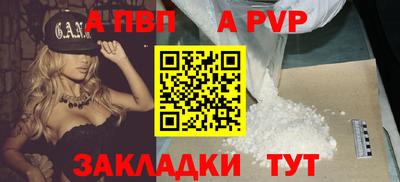 индика Гусев