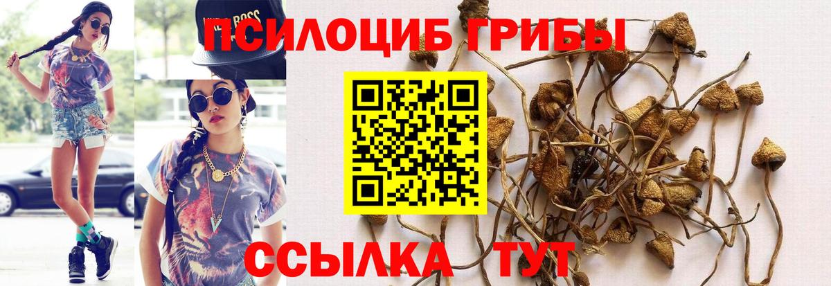 где купить наркоту  Вход с VPN  Галлюциногенные грибы ЛСД  Малгобек  Галлюциногенные грибы Magic Shrooms 